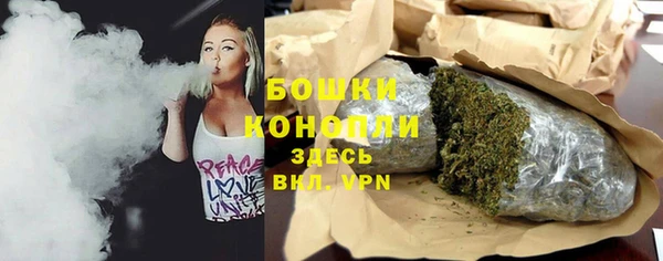 гидра Заволжск
