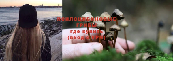 дживик Заволжье