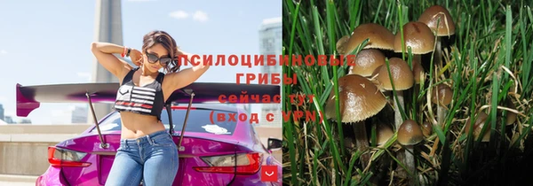 ECSTASY Заводоуковск
