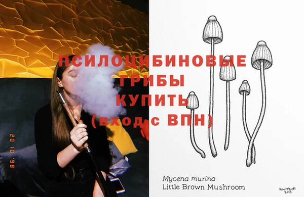 гидра Заволжск