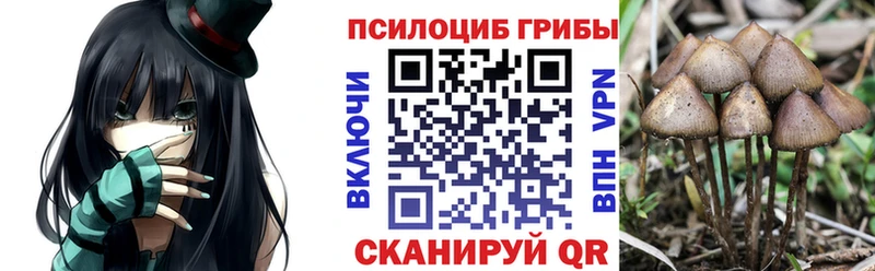 Купить  Куровское  Галлюциногенные грибы ЛСД 