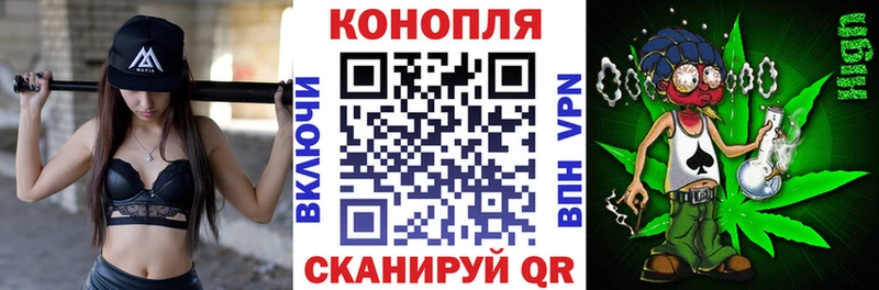 Шишки марихуана гибрид Куровское