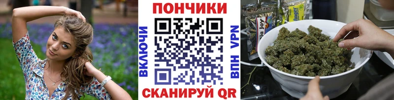 Купить где  Куровское  МАРИХУАНА планчик 